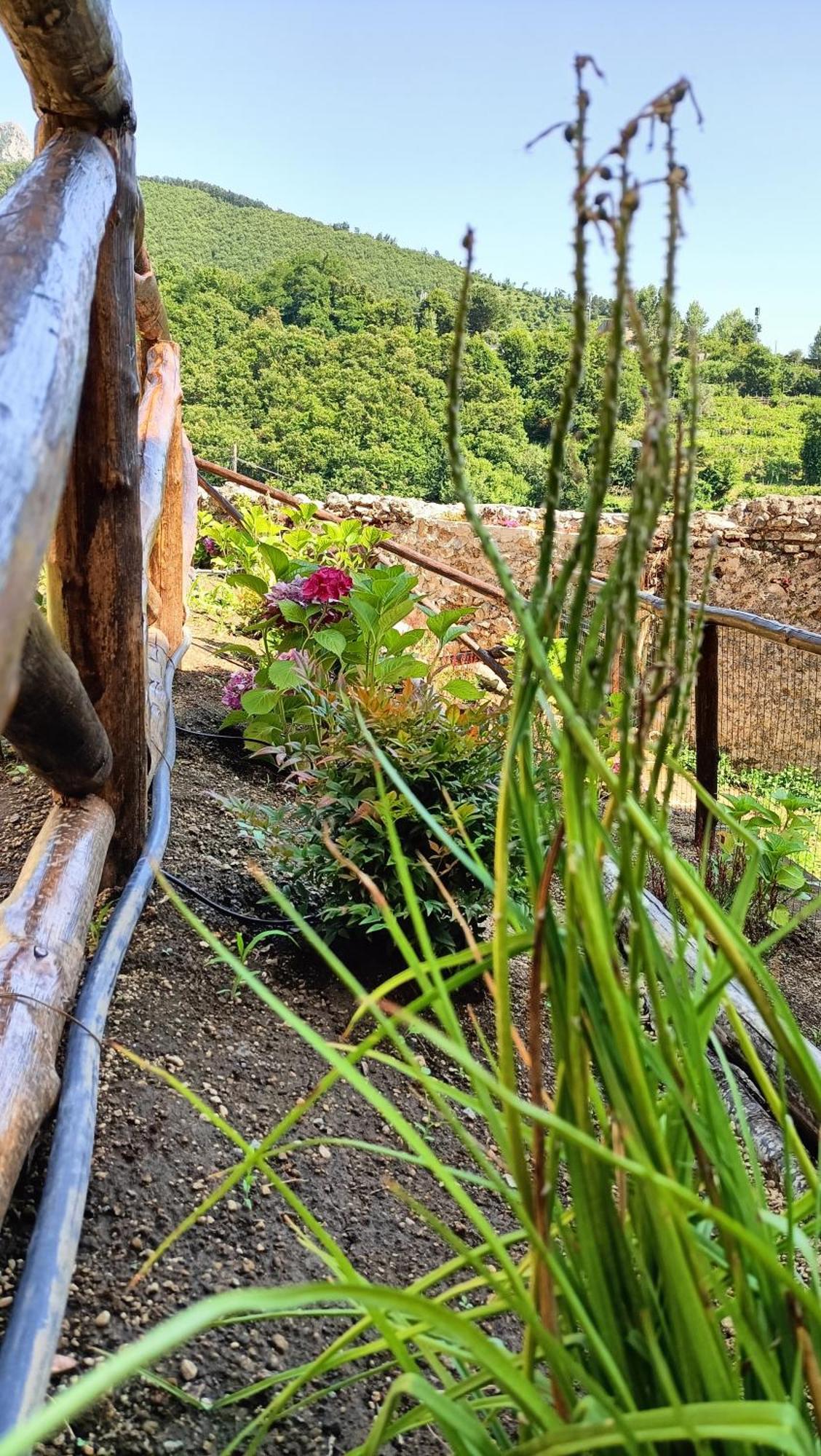 Casale Forno Vecchio Vila Tramonti Exterior foto